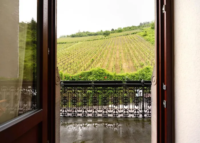 アパート Alte Stadtvilla Am Weinberg 3 トラーベン・トラールバッハ